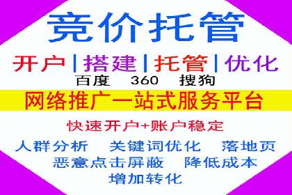 SEM托管服务，成功案例见证转化奇迹